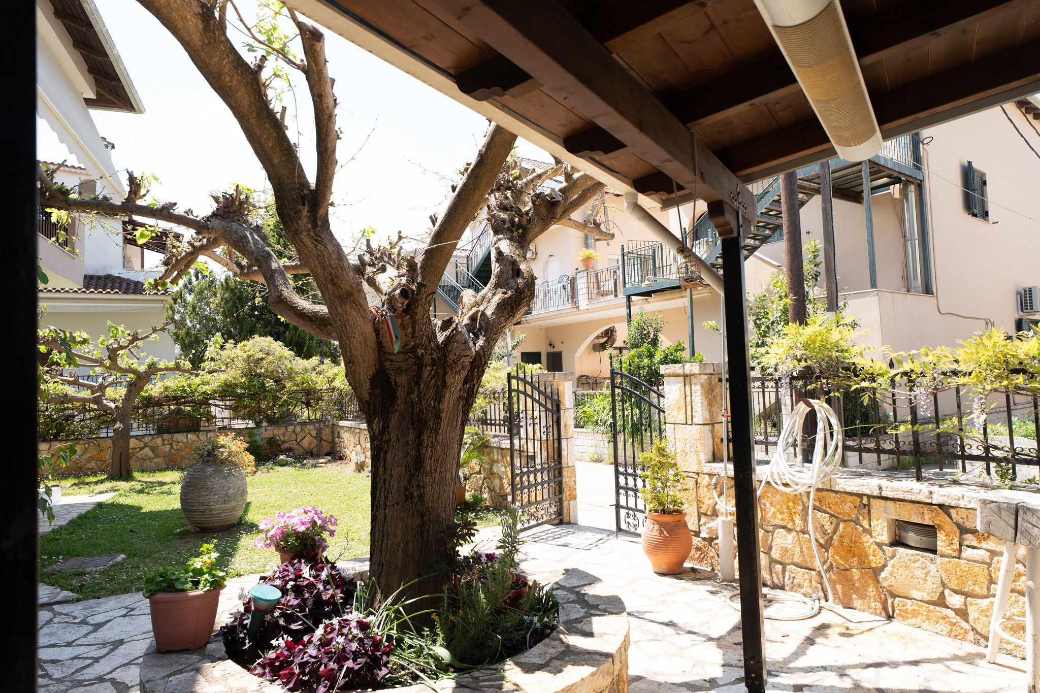 DOUCKAS I — φωτογραφία 8