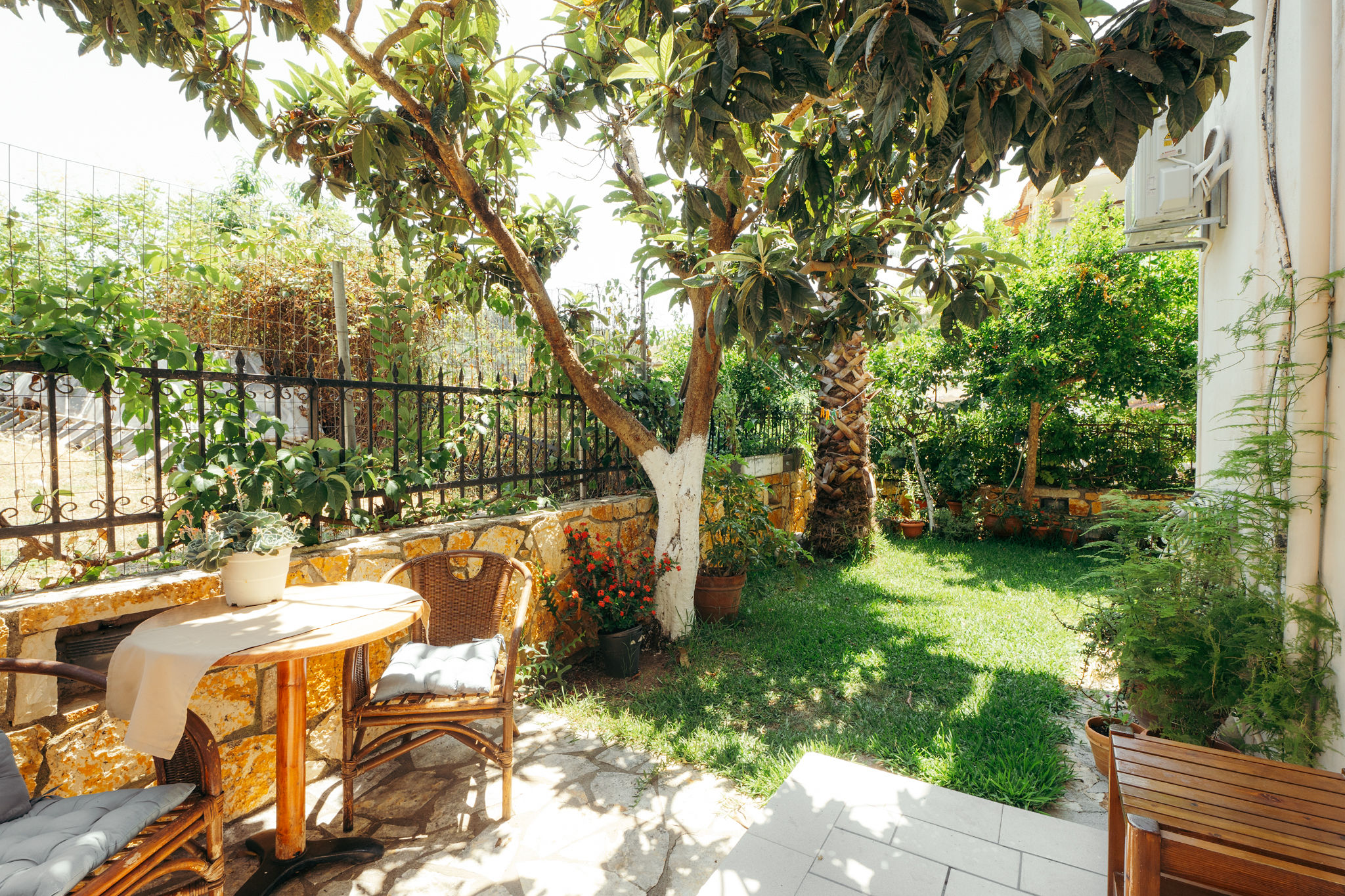 DOUCKAS III — φωτογραφία 6